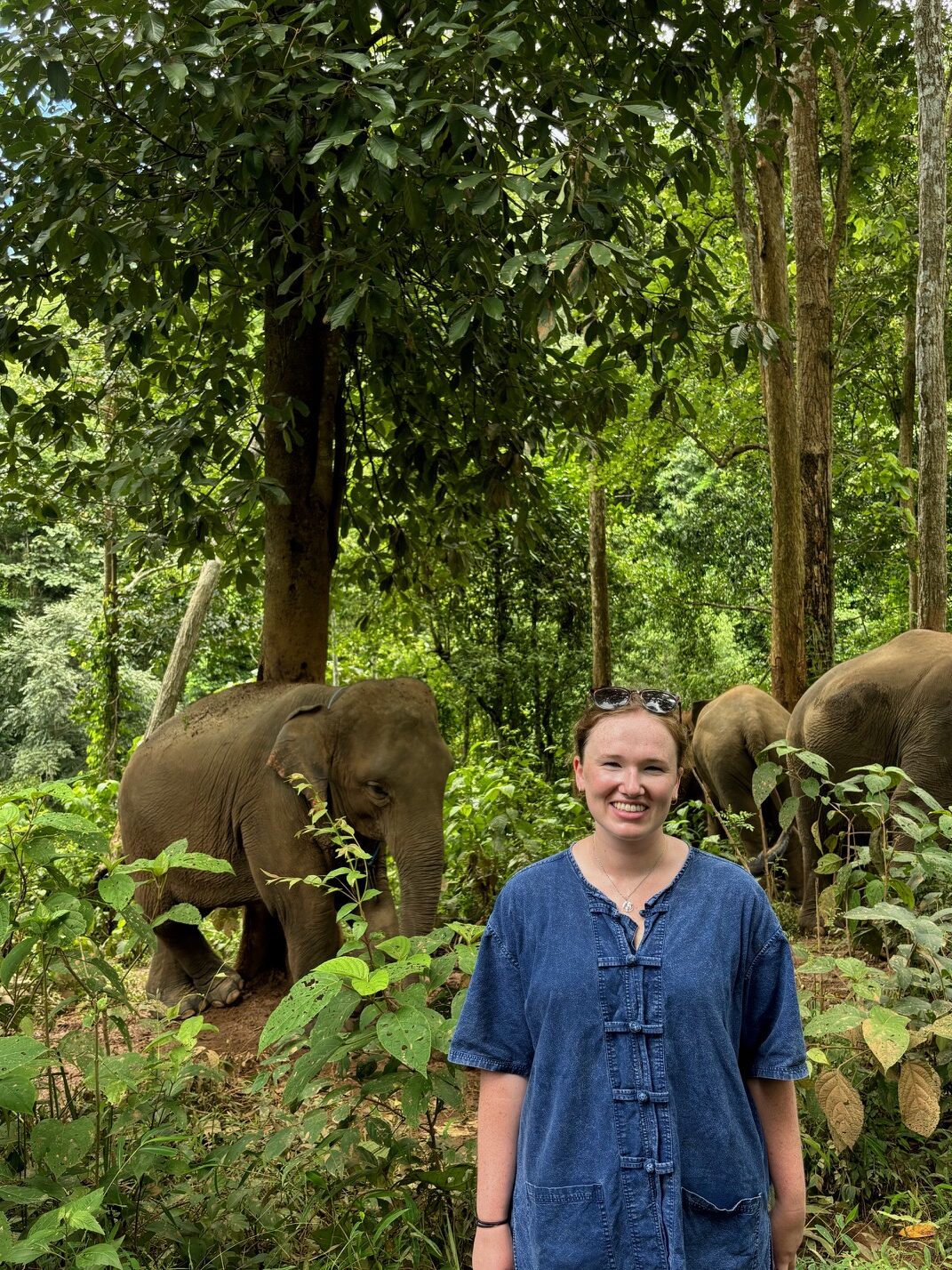 chiang mai thailand